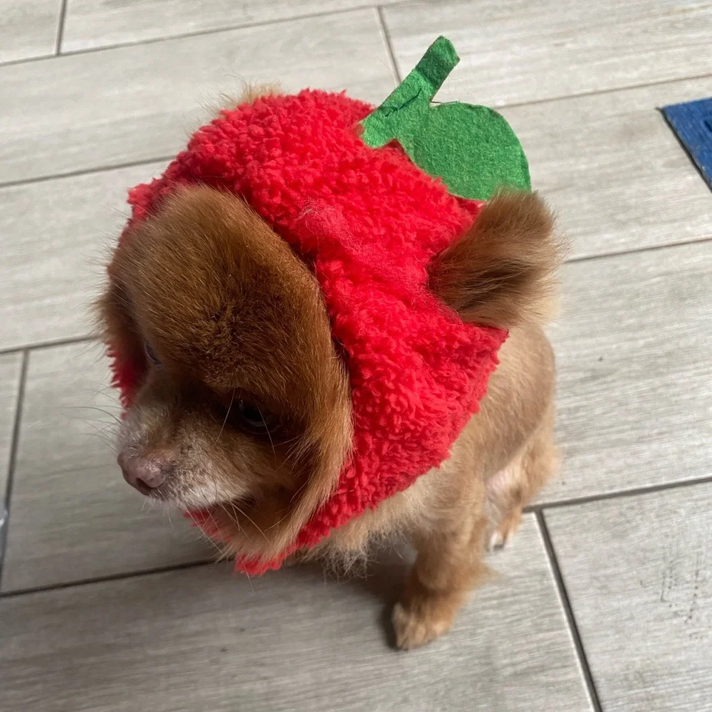 3-Piece Pet Hat Set for Cats & Small Dogs - Banana, Sunflower, and Apple Design